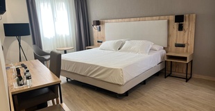 Superior-zimmer mit terrasse ELE Acueducto Hotel Segovia