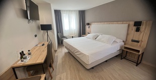 Superior-zimmer mit terrasse ELE Acueducto Hotel Segovia